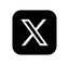 x logo